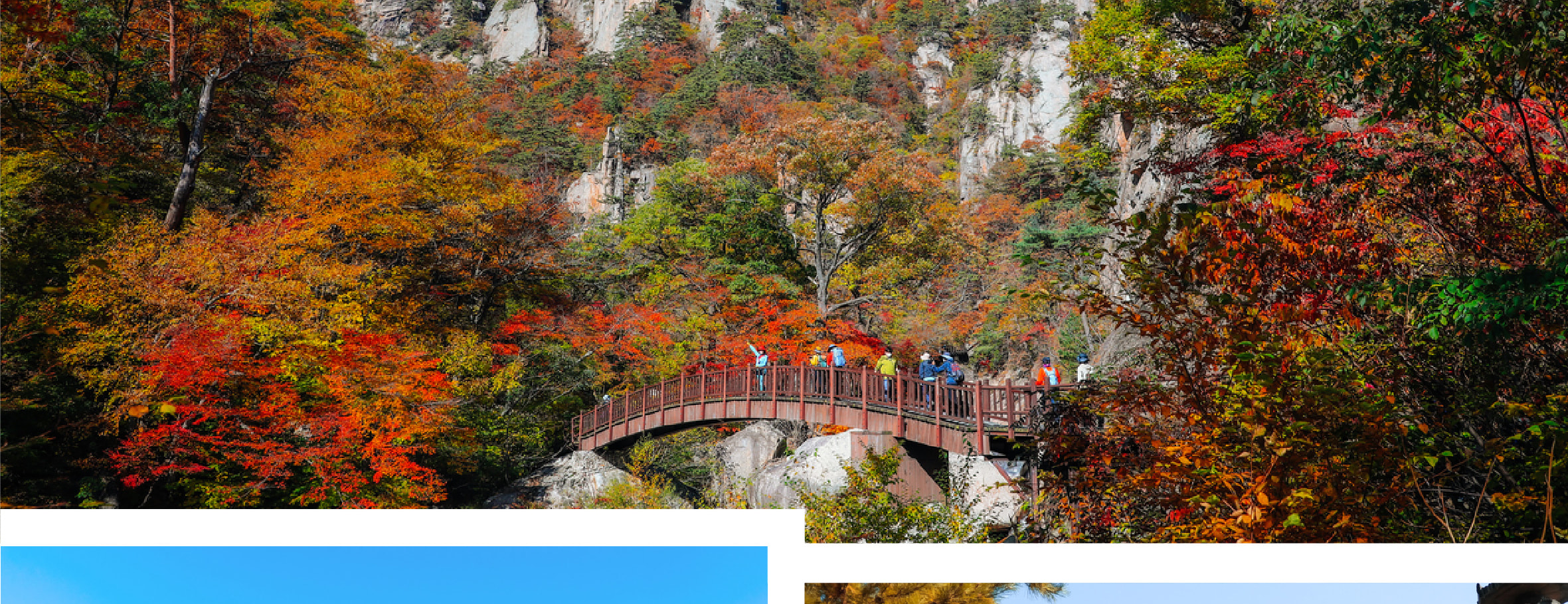 南怡島＆雪嶽山一日遊（首爾出發）