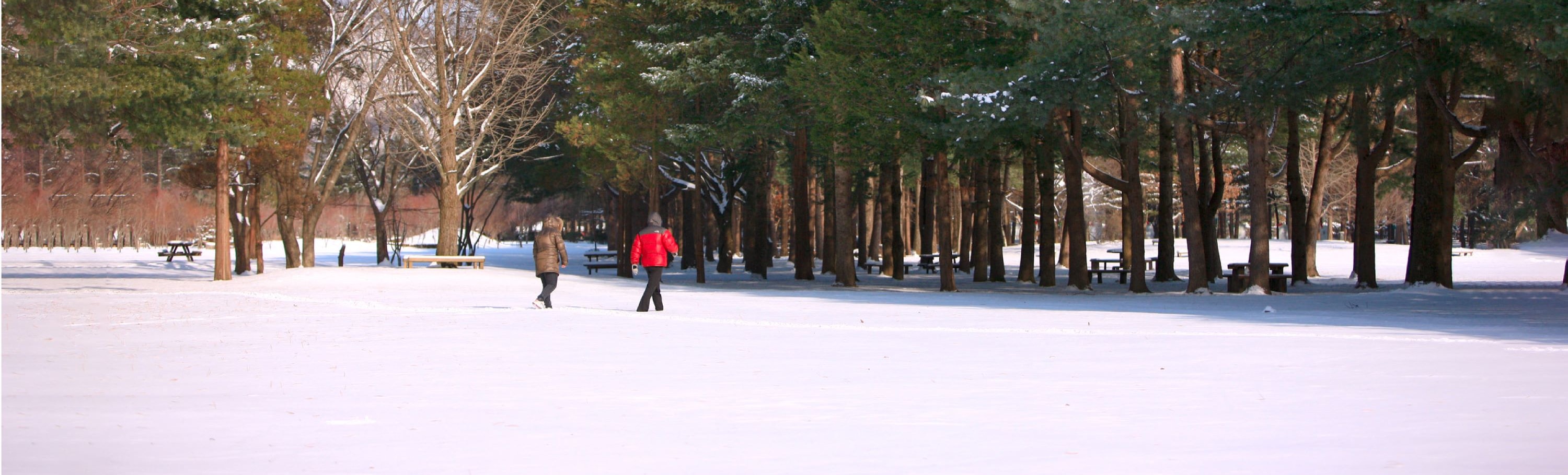 伊利希安江村滑雪度假村 & 奧比冰谷一日遊（首爾出發）