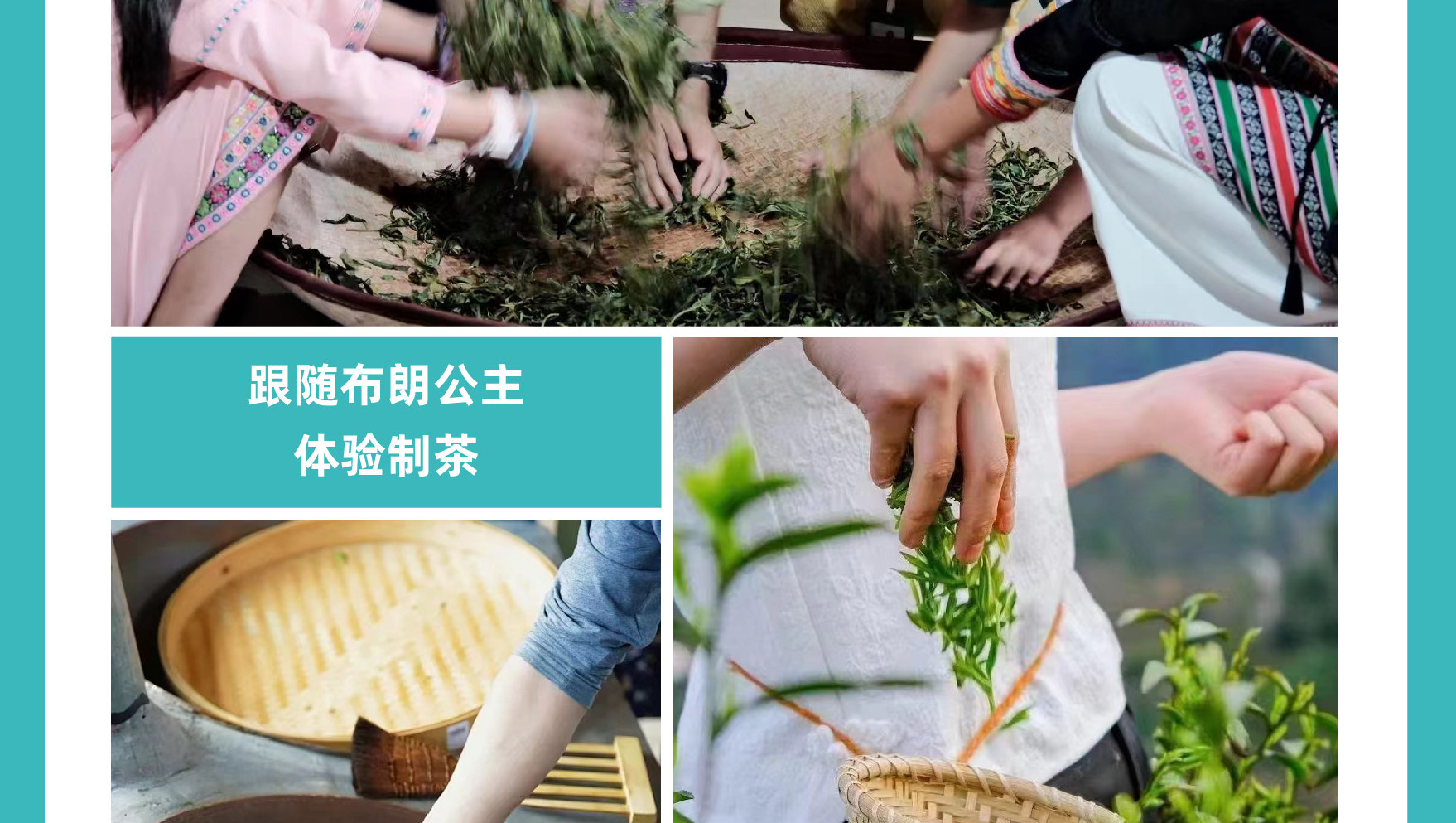 雲南西雙版納景邁山野奢度假5日（雨林牧象+星光夜市+世遺景邁山茶林徒步+小粒咖啡+翁基糯幹古寨local walk+火塘烤茶+雲海日出）