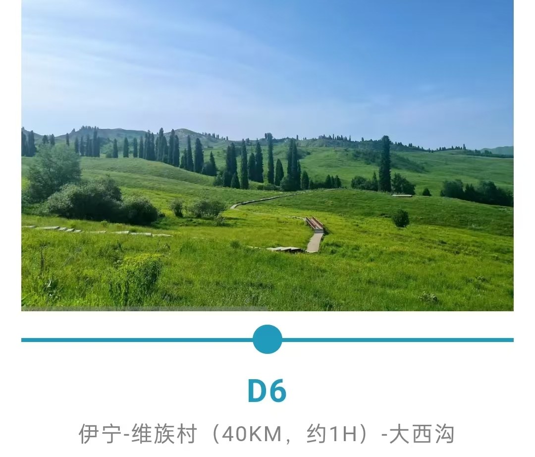 新疆伊犁春色7日（贈賽里木湖輕旅拍+無人機航拍+那拉提杏花谷+大西溝杏花+草原下午茶+民俗體驗+天山天池+安集海大峽谷）