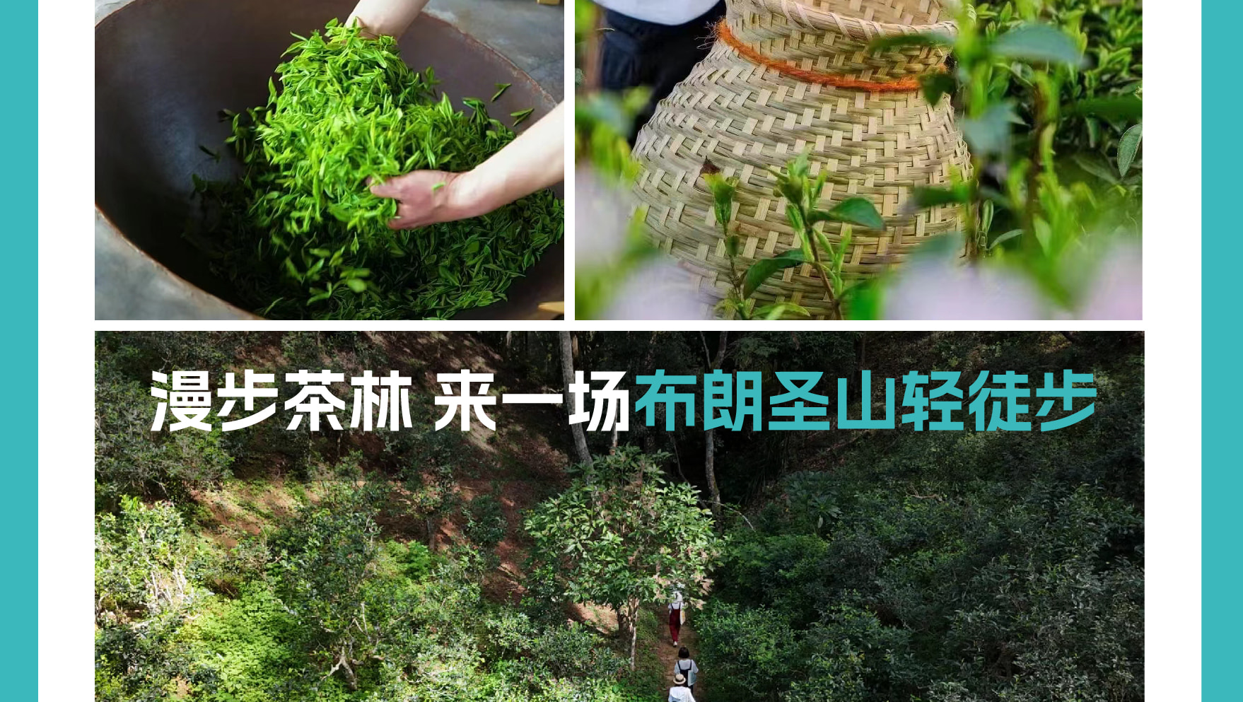 雲南西雙版納景邁山野奢度假5日（雨林牧象+星光夜市+世遺景邁山茶林徒步+小粒咖啡+翁基糯幹古寨local walk+火塘烤茶+雲海日出）