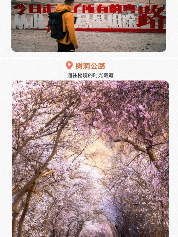 【櫻花季促銷】新疆南疆帕米爾杏花6日（盤龍古道+班迪爾藍湖+喀什古城+木吉火山口+白沙湖）