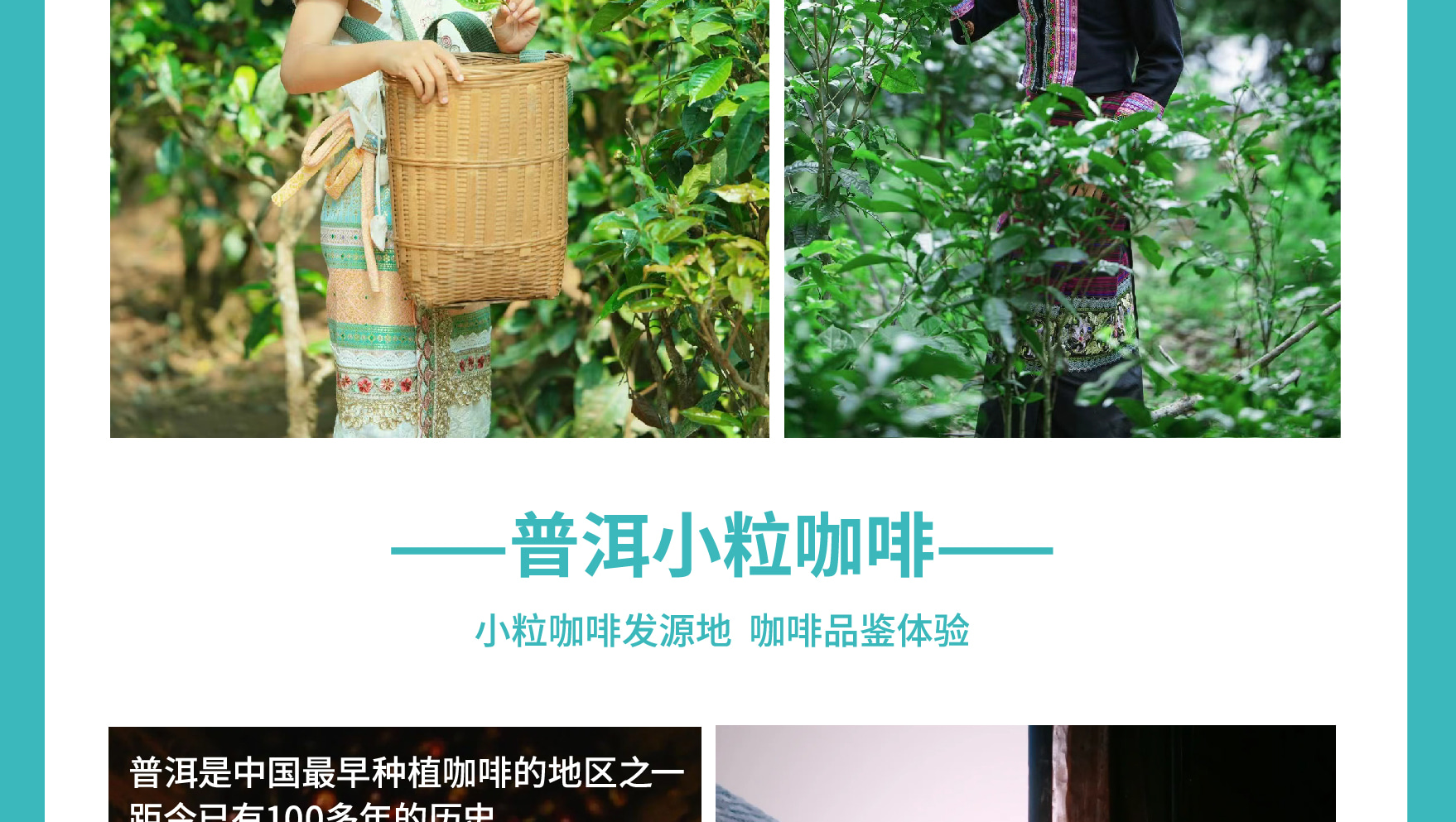 雲南西雙版納景邁山野奢度假5日（雨林牧象+星光夜市+世遺景邁山茶林徒步+小粒咖啡+翁基糯幹古寨local walk+火塘烤茶+雲海日出）