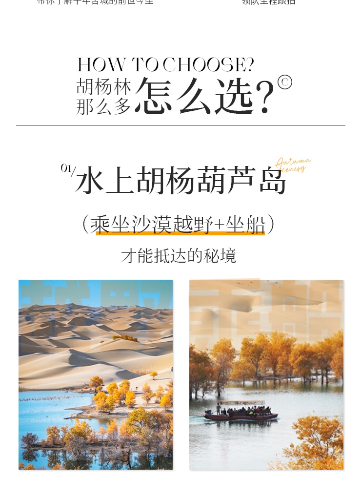 新疆橙意南疆8日遊（坦克300越野車+旅拍攝影+塔里木胡楊林+水胡楊葫蘆島+沙雅胡楊林秘境公路+帕米爾+喀什集合庫爾勒解散）
