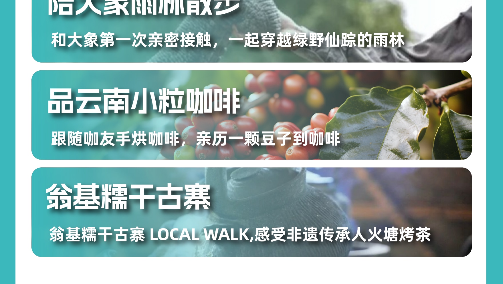 雲南西雙版納景邁山野奢度假5日（雨林牧象+星光夜市+世遺景邁山茶林徒步+小粒咖啡+翁基糯幹古寨local walk+火塘烤茶+雲海日出）