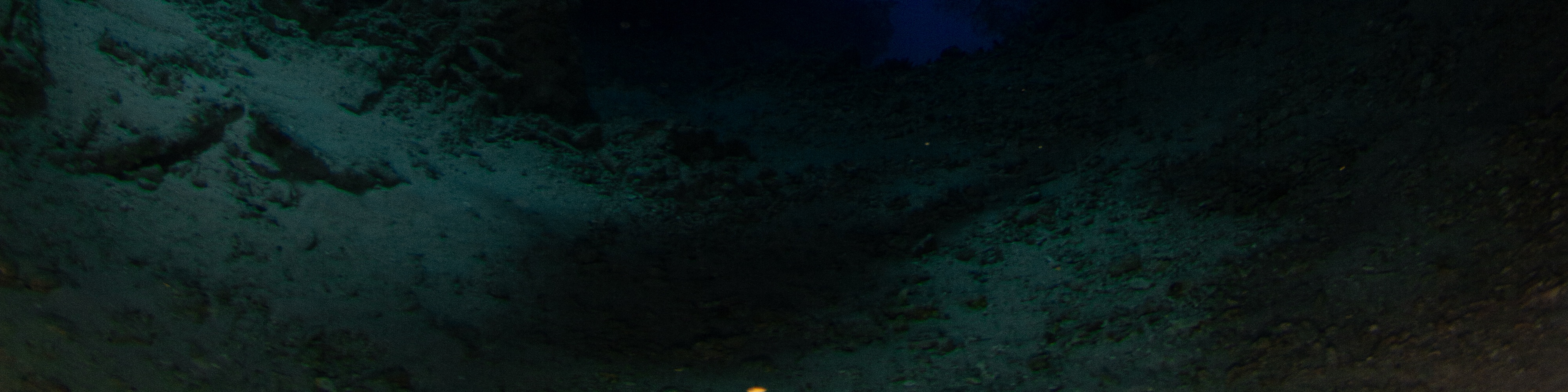 峇里島 PADI 潛水中心進階開放水域潛水員課程