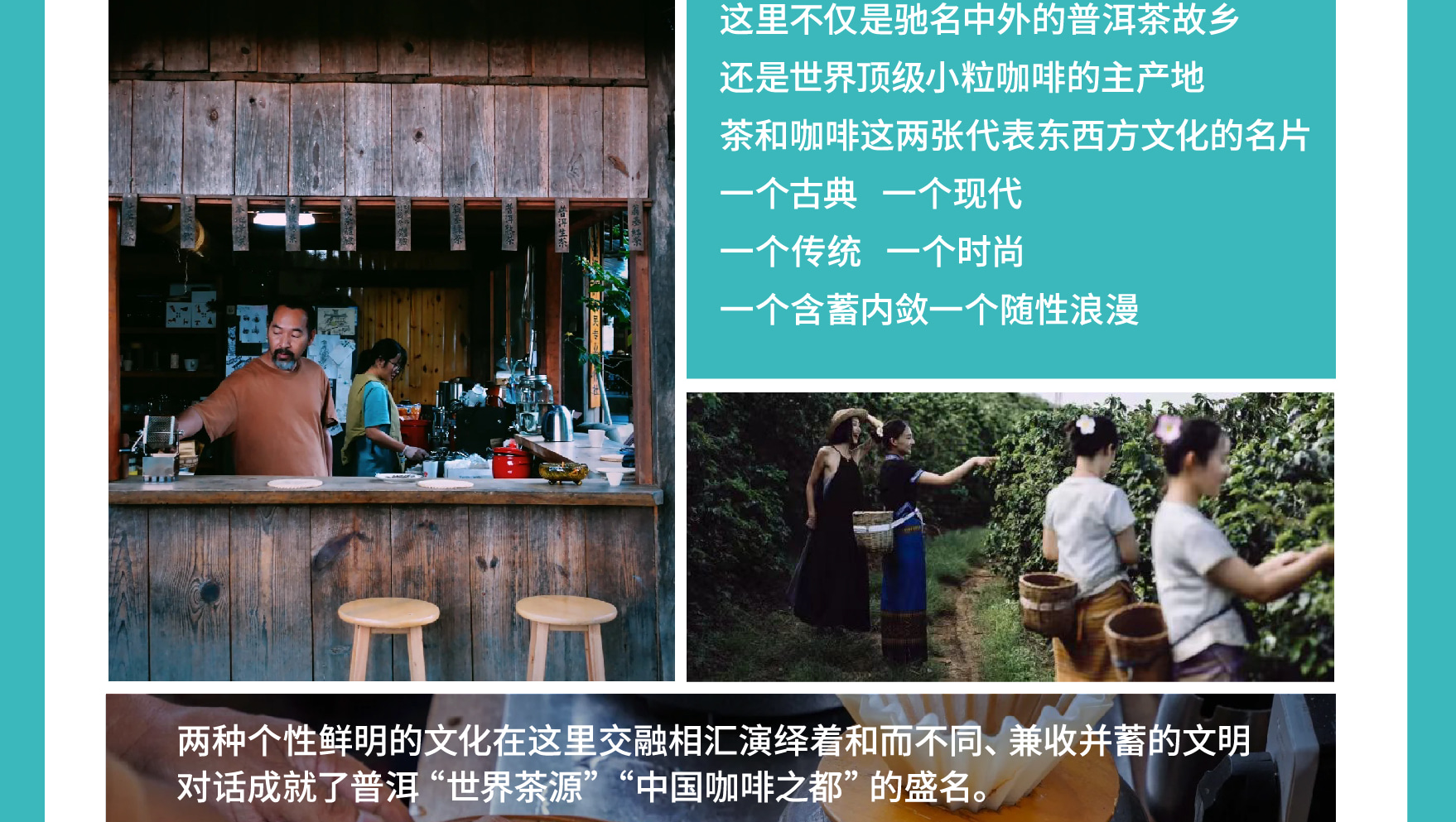 雲南西雙版納景邁山野奢度假5日（雨林牧象+星光夜市+世遺景邁山茶林徒步+小粒咖啡+翁基糯幹古寨local walk+火塘烤茶+雲海日出）