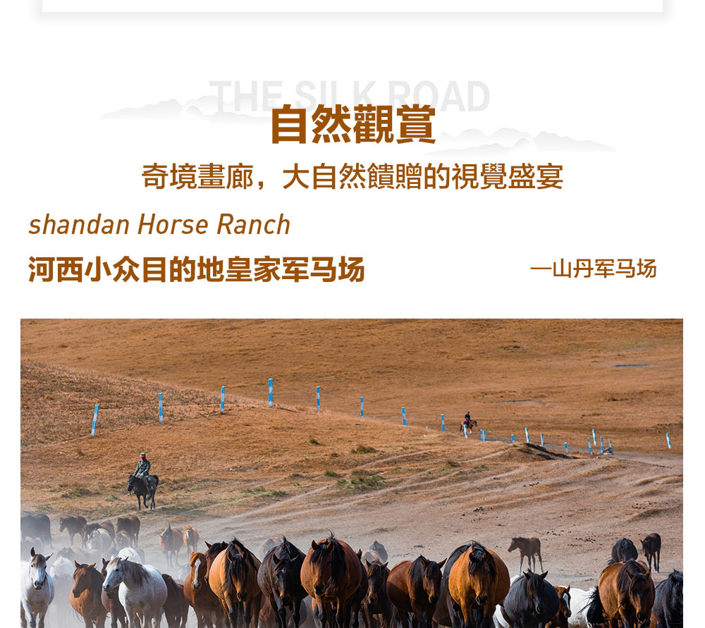 甘肅河西走廊高奢6日遊（支持外賓報名+蘭州一日遊+七彩丹霞+鳴沙山妝造+嘉峪關+莫高窟+天梯山石窟+紫軒酒莊+非遺手工體驗+黃河下午茶）