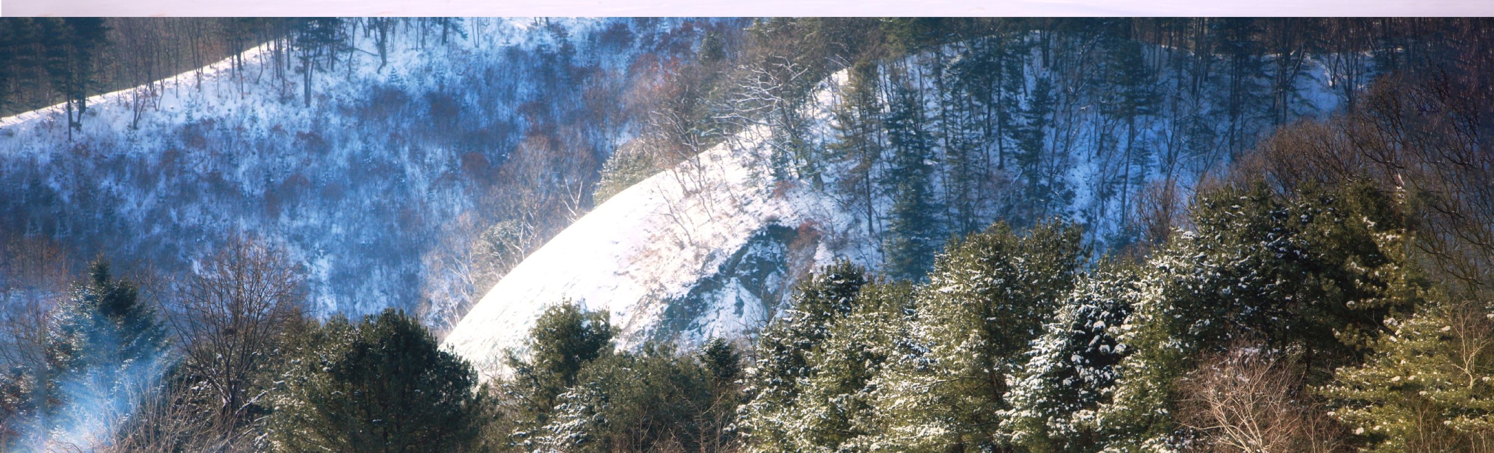 伊利希安江村滑雪度假村 & 奧比冰谷一日遊（首爾出發）