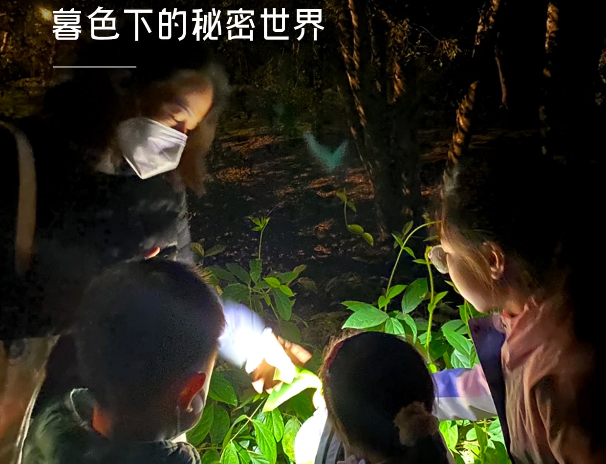 ❣️【放虎归山】云南西双版纳普洱6天5晚亲子游私家团(普洱森林公园+夜游植物园+小熊猫互动+告庄旅拍) 行程图 18