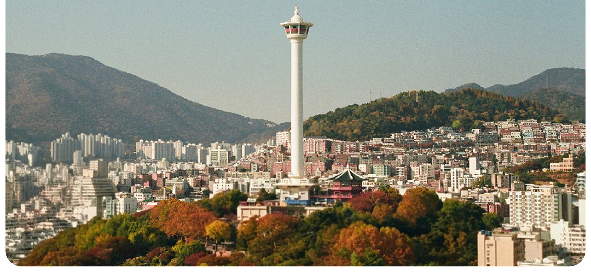 這裡有著釜山舊城區海鮮市場的縮影，道地的在地生活氣息依然濃厚。