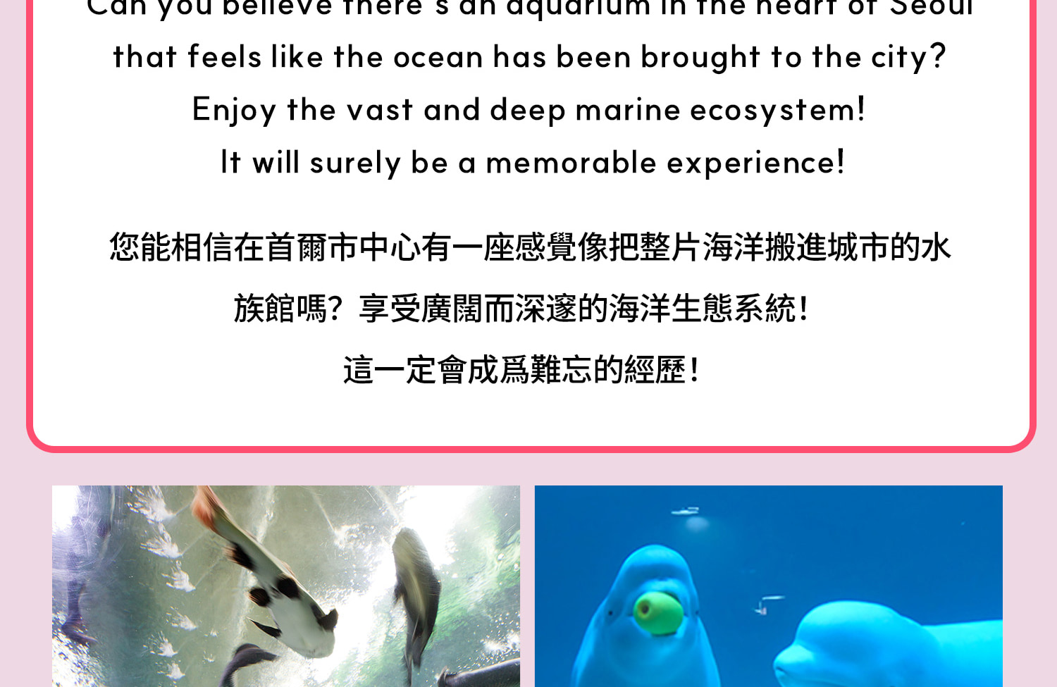 南怡島 & 樂天世界一日遊（含免費餐券和禮品）