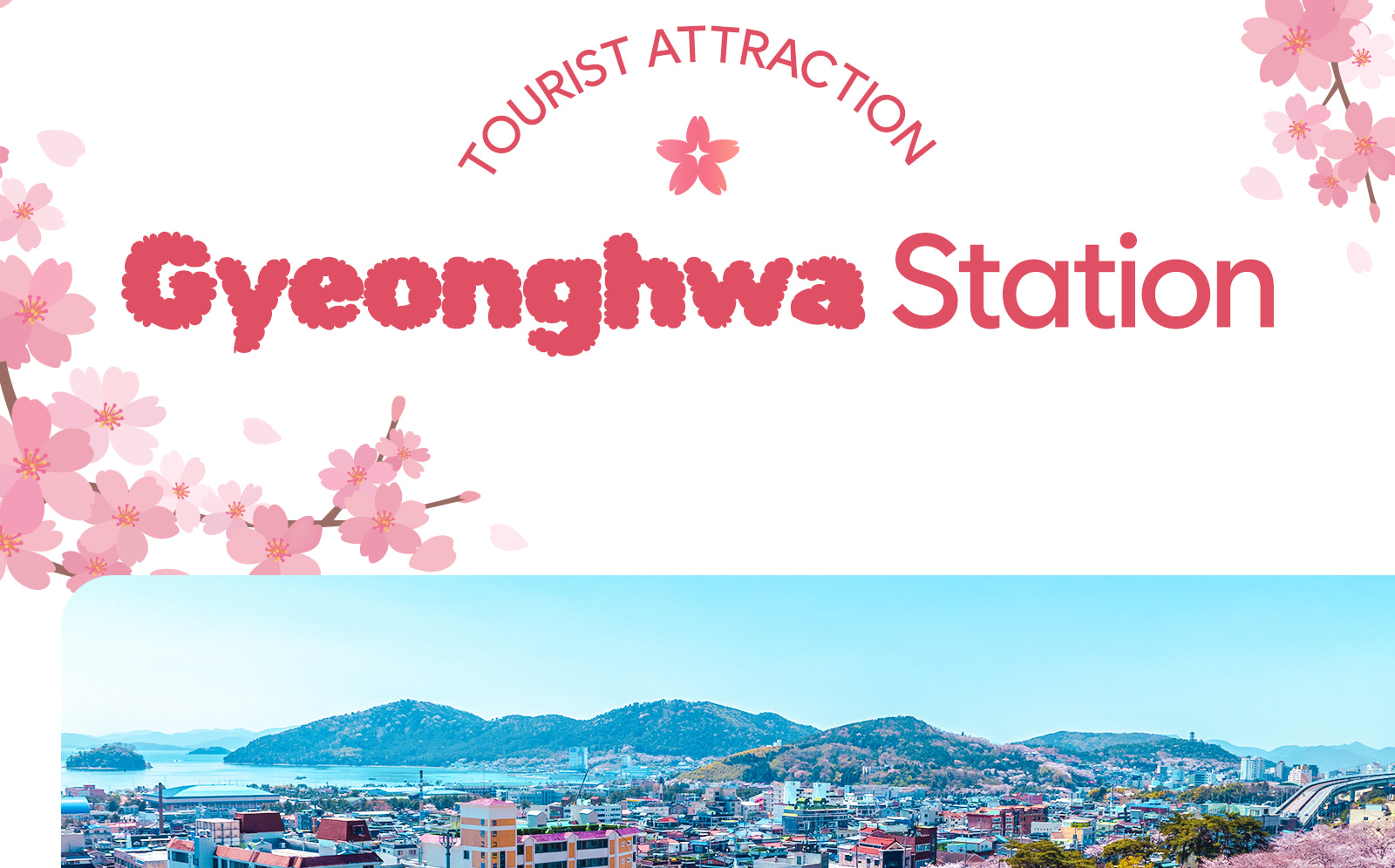 鎮海軍港櫻花節之旅 - 僅限英語
