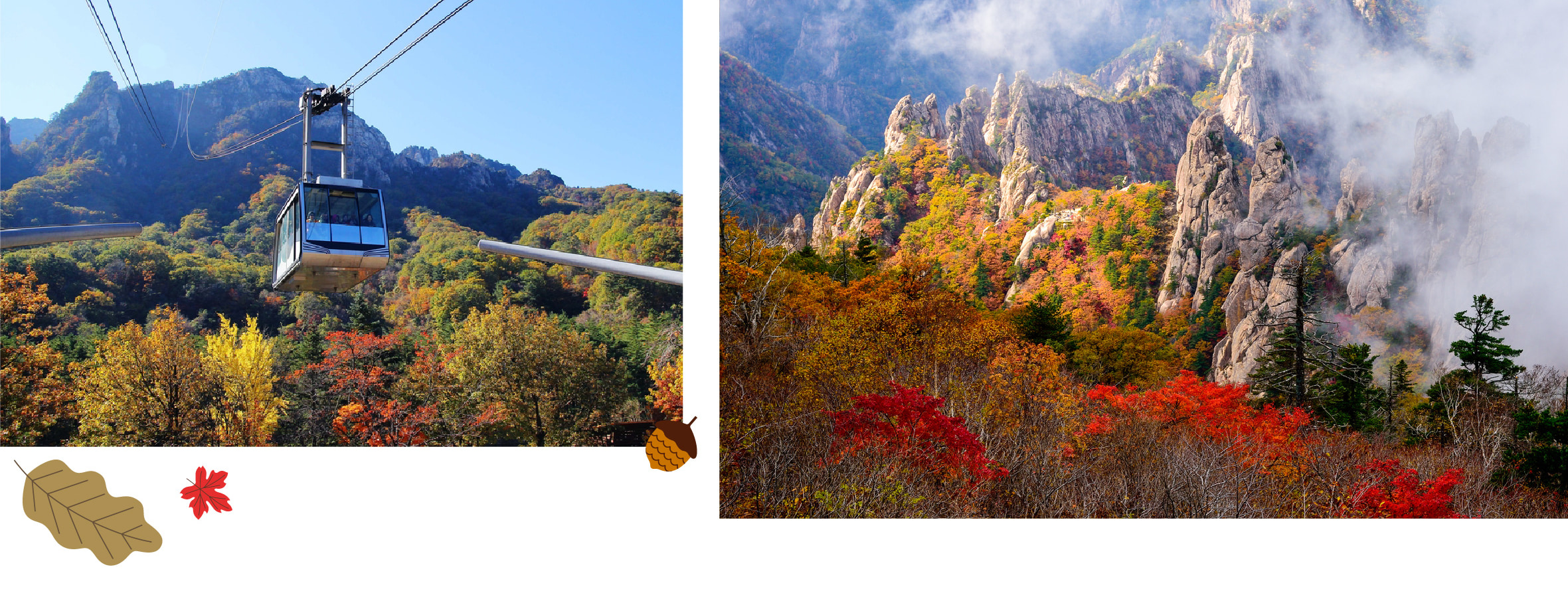 南怡島＆雪嶽山一日遊（首爾出發）