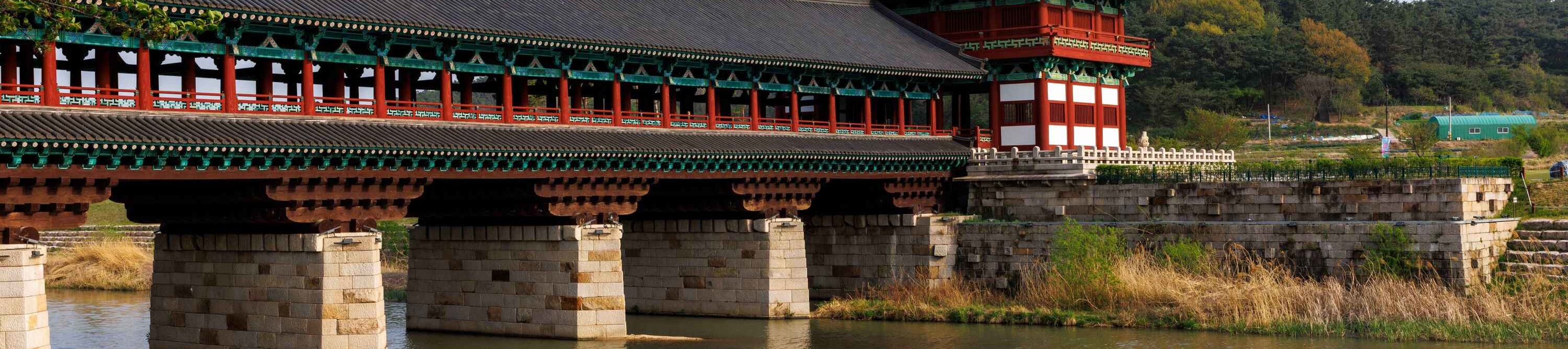 漫步於韓國最宏偉的復原木橋——月精橋，欣賞其優雅的結構在寧靜的河流上投下美麗倒影，構成一幅永恆如畫的場景。