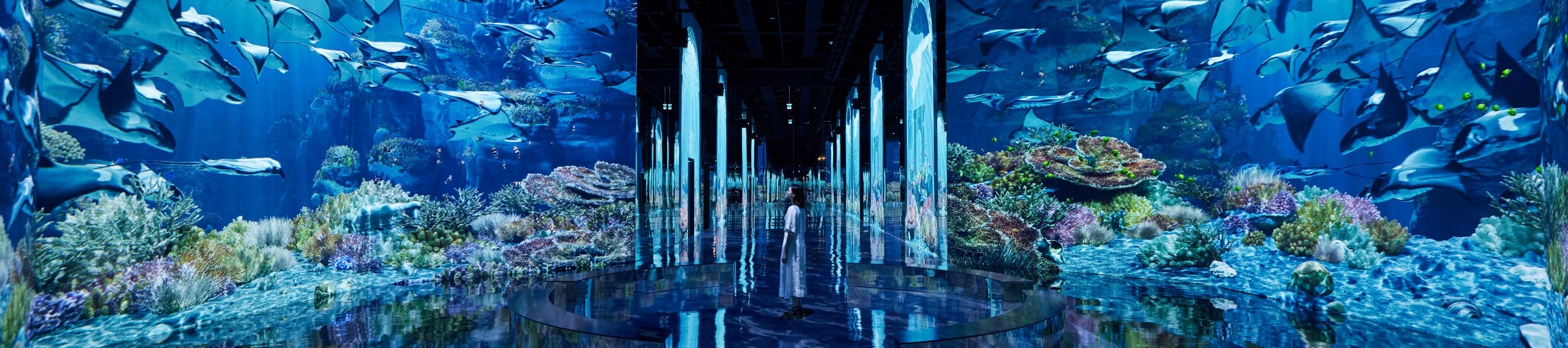 Ilsan Aqua Garden&Begonia&Gapyeong SeenB Zoo&Gapyeong Cruise Tour