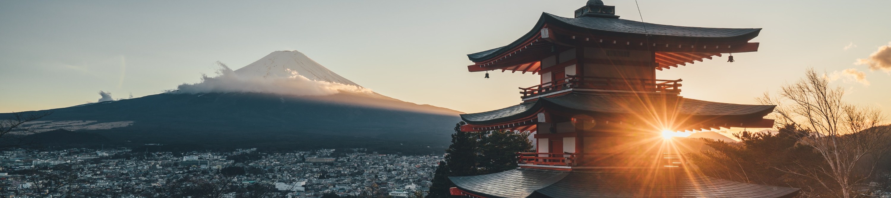 富士山一日遊：賞花 & 暢遊奧特萊斯（東京出發）