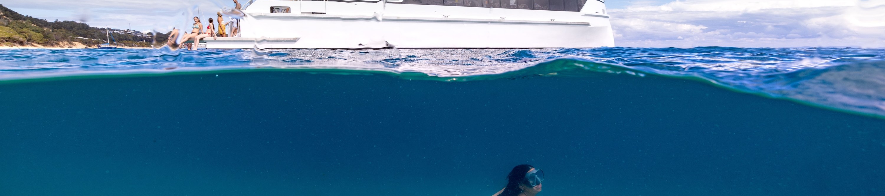 與 See Moreton 一起潛水探險,在摩頓島 (Moreton Island) 清澈見底的海水中浮潛。 與 See Moreton 一起潛水探險,在摩頓島 (Moreton Island) 清澈見底的海水中浮潛。