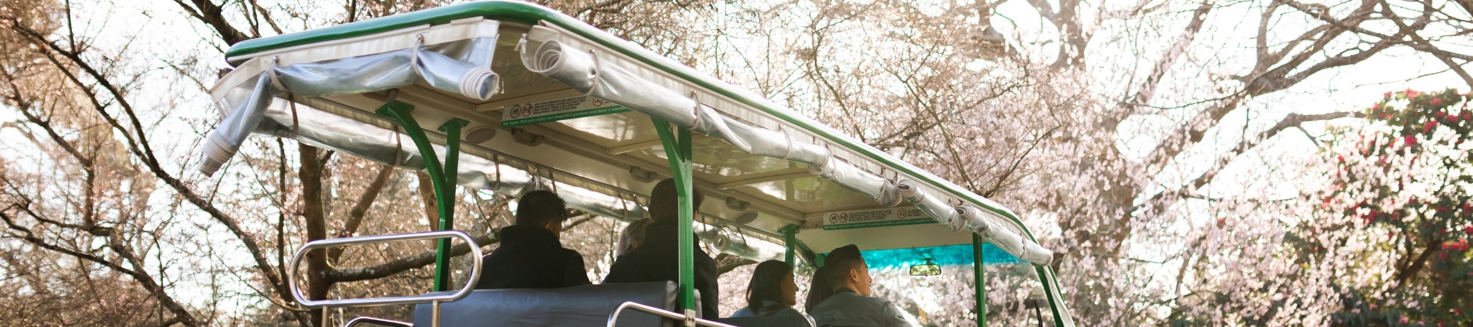 基督城植物園之旅