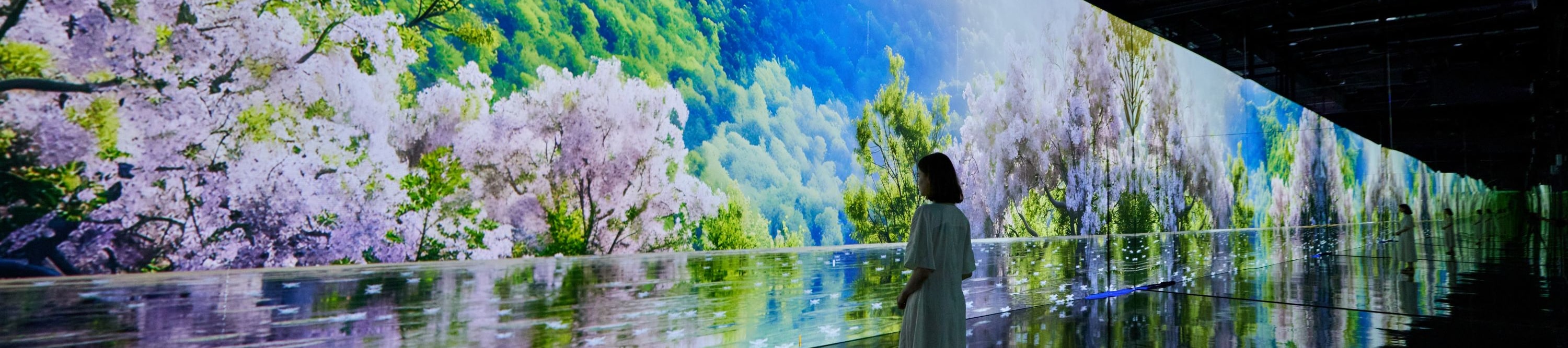 Paju Museum Hei & Unification Observatory & Byukchoji Gardens Tour