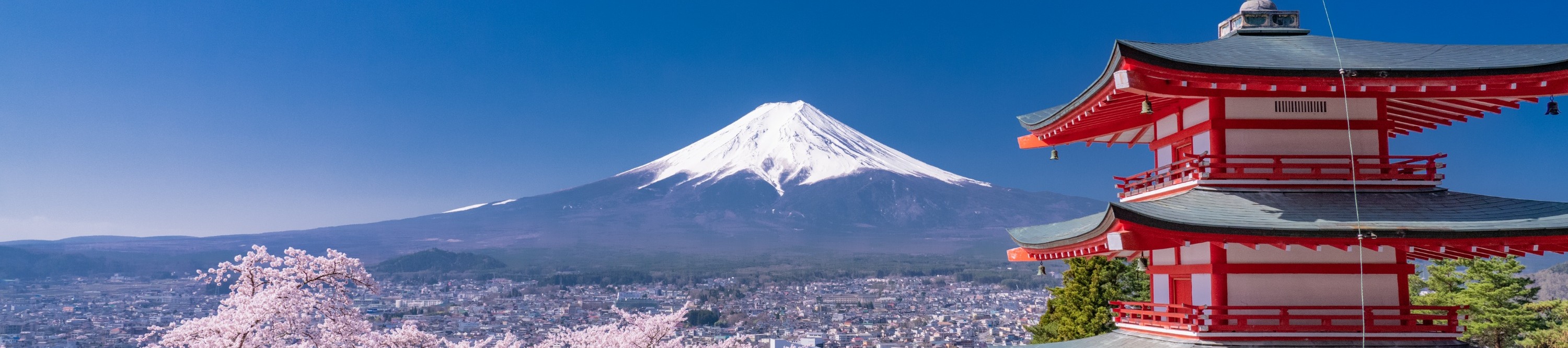 富士山新倉山淺間公園＆傳統日本村莊之旅