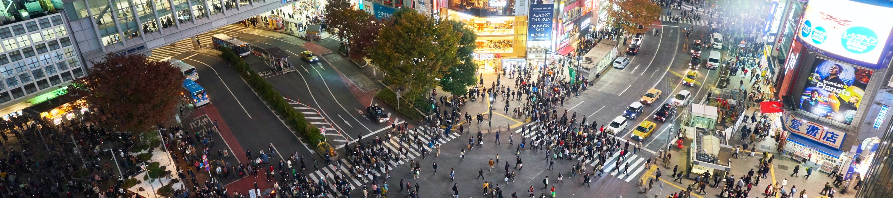 東京市區私人定製一日遊（含英語司機）