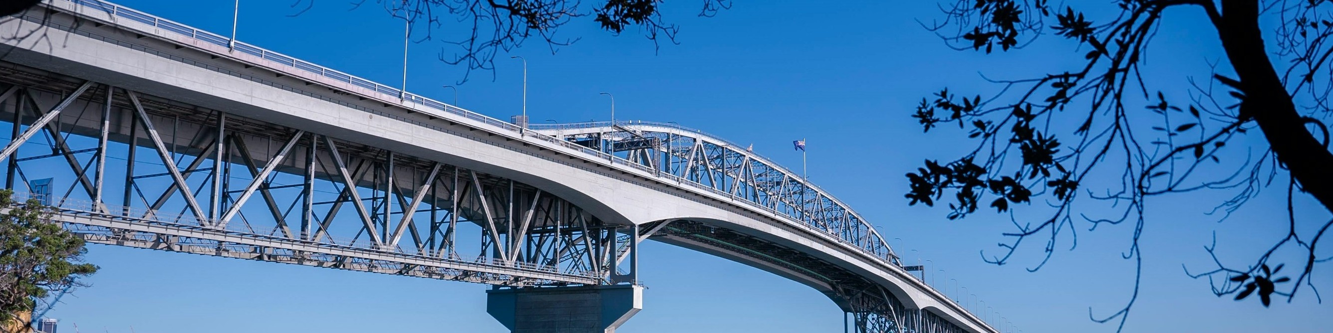 Auckland Half Day Tour Through Urban Wonders
