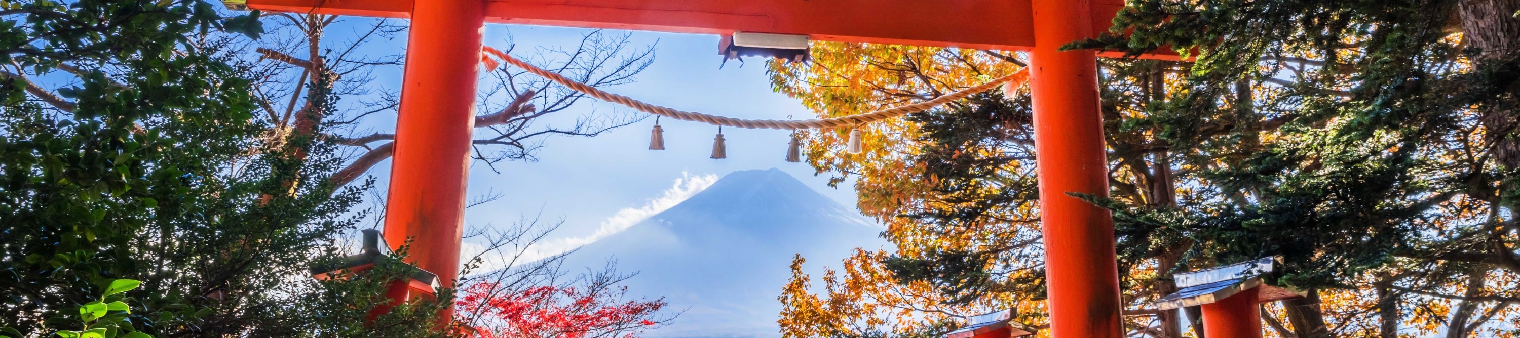 【富士山人氣打卡景點】富士山下網紅公園&日川時計店&羅森便利店&忍野八海＆大石公園一日遊 （東京站或新宿站出發）