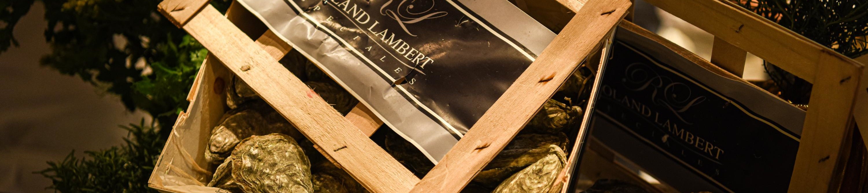 聖誕主題參考圖片