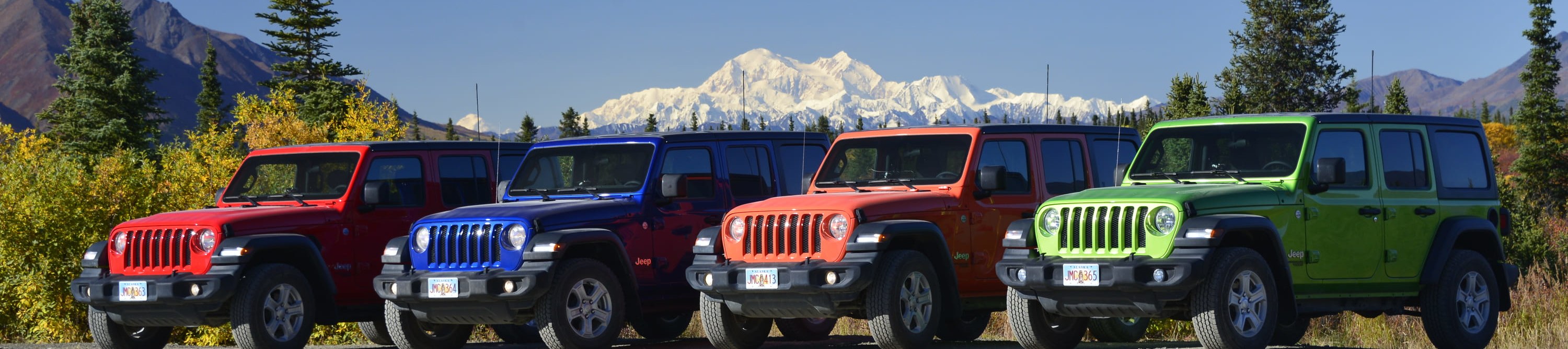 德納里公路吉普車遊覽 (Highway Jeep Excursion in Denali)