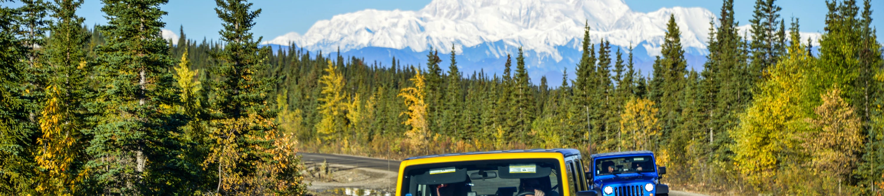 德納里公路吉普車遊覽 (Highway Jeep Excursion in Denali)