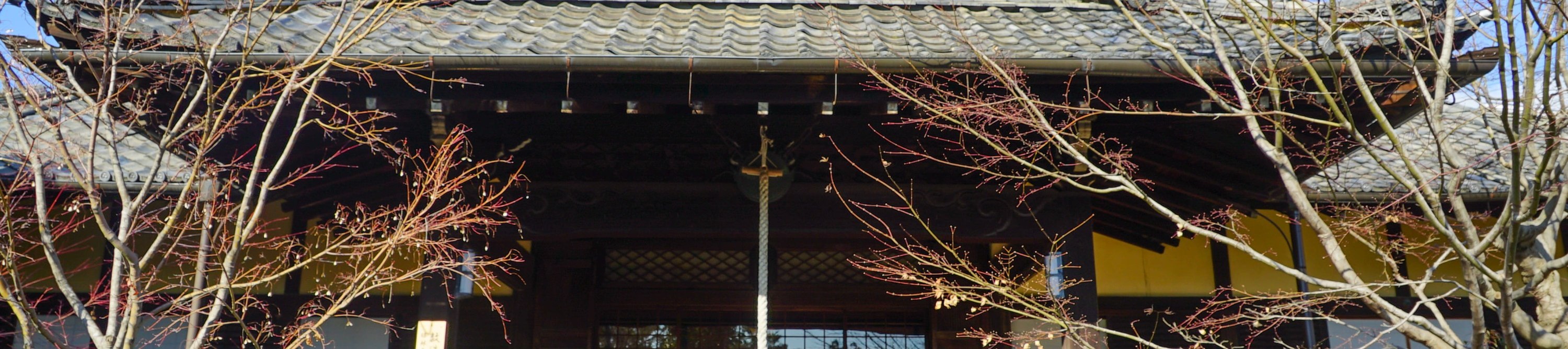 京都寺廟禪修 & 庭院之旅
