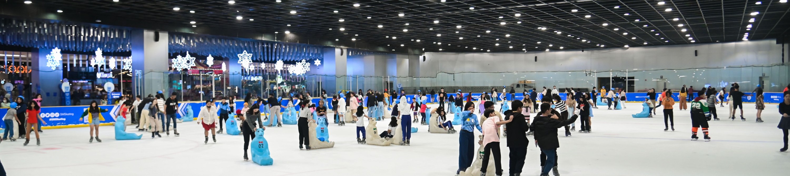 Ice Skating Experience at SM Megamall