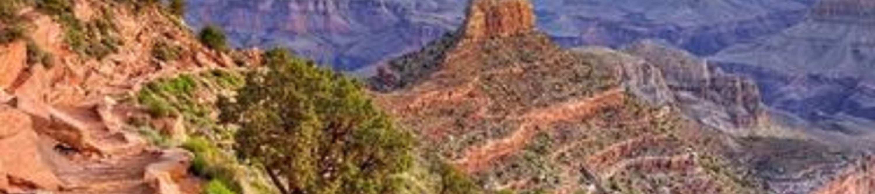 大峽谷 (Grand Canyon) 南緣一日遊