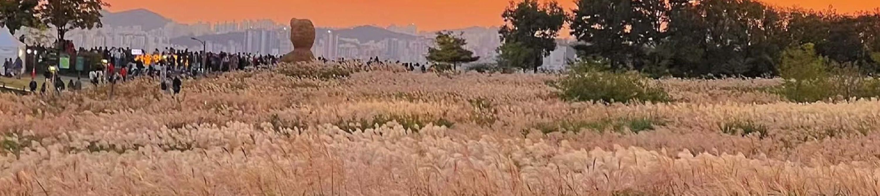 首爾市 & 季節性熱門景點一日遊