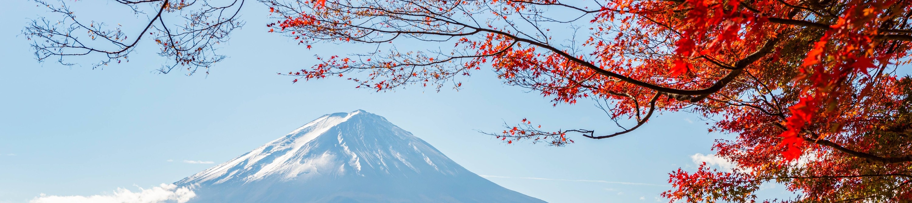 富士山四大名勝景點一日遊（東京出發)