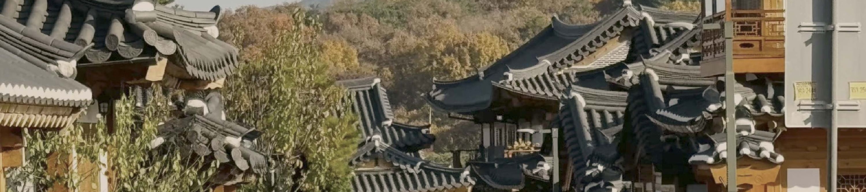 首爾市 & 季節性熱門景點一日遊