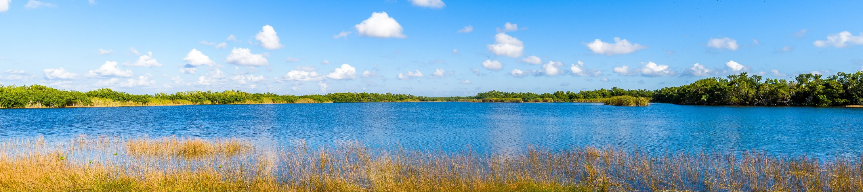 Hike the Nine Mile Pond Trail for picturesque views of the serene water landscape