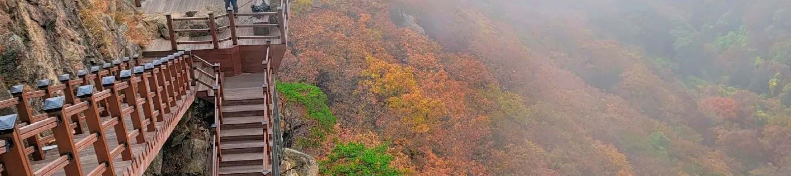 首爾市 & 季節性熱門景點一日遊