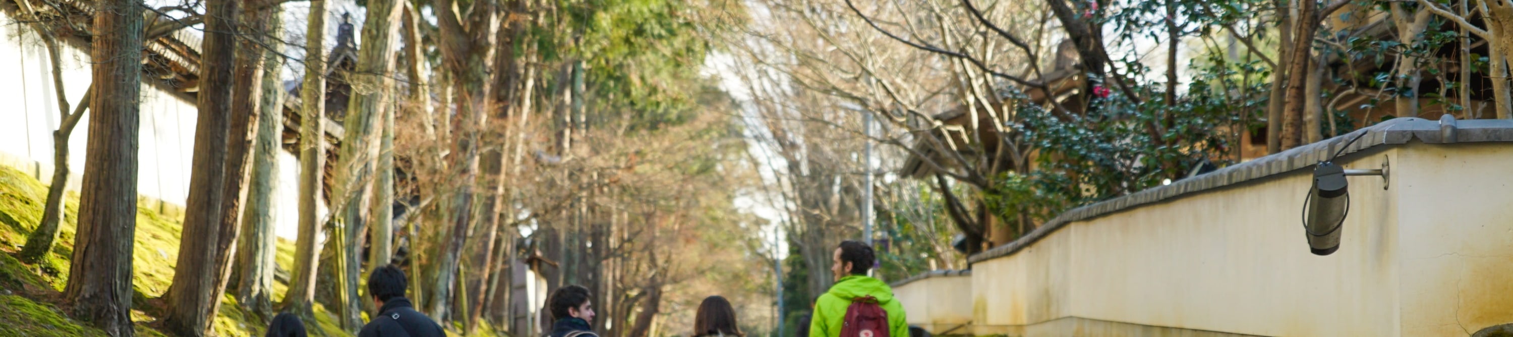 京都寺廟禪修 & 庭院之旅