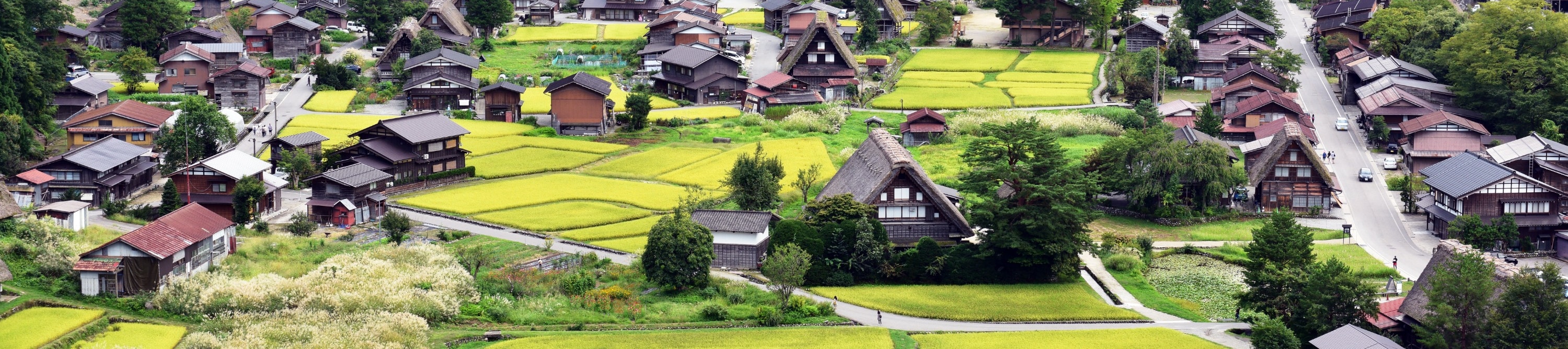 世界遺產白川鄉和金澤一日遊 (World Heritage Shirakawa-go and  Kanazawa Day Tour)
