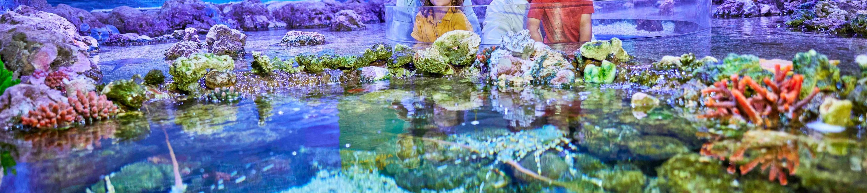 凱恩斯水族館門票＆珊瑚保育導覽之旅