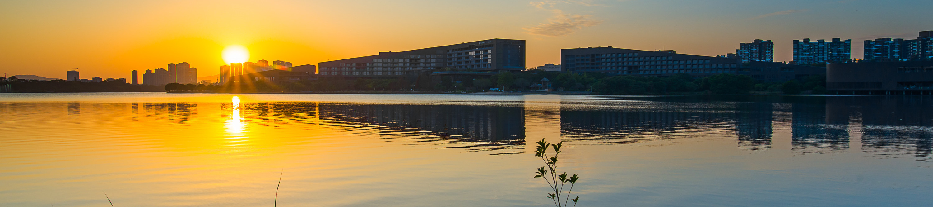 [Mid-year promotion] Hyatt Regency Dongguan Songshan Lake accommodation package | HYATT Group
