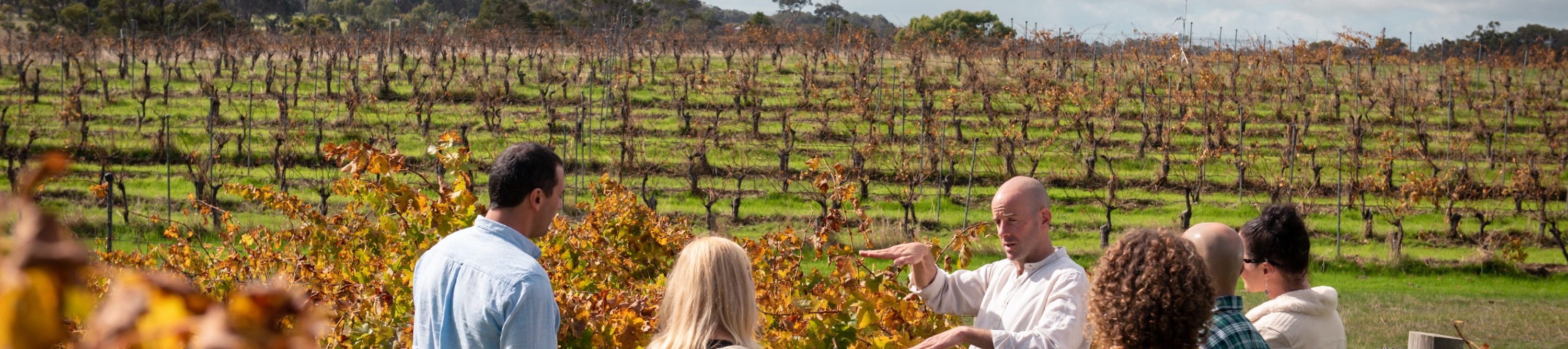 Our knowledgeable guides will take you behind the scenes, sharing fascinating insights