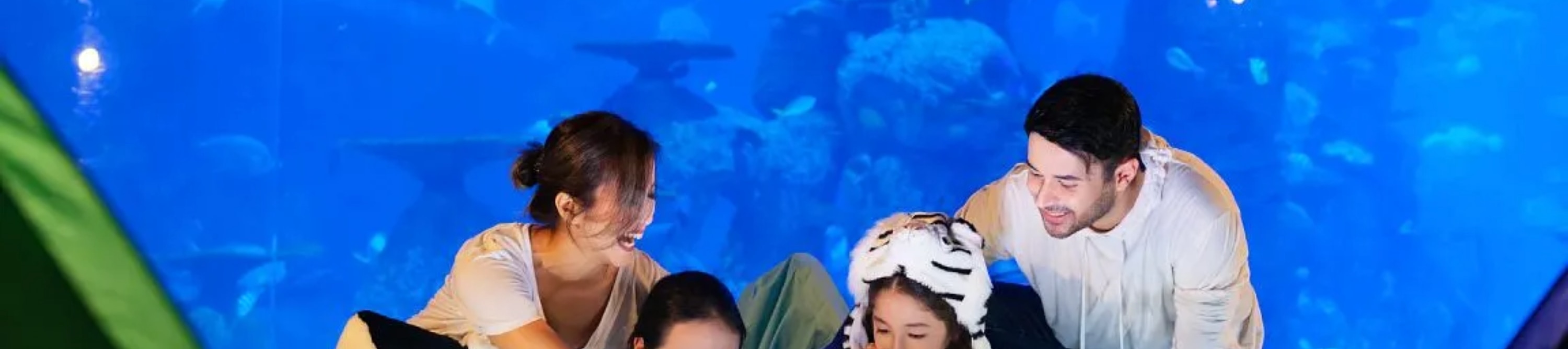 在雅加達水族館野生動物園的特別體驗中，親身瞭解令人難以置信的動物