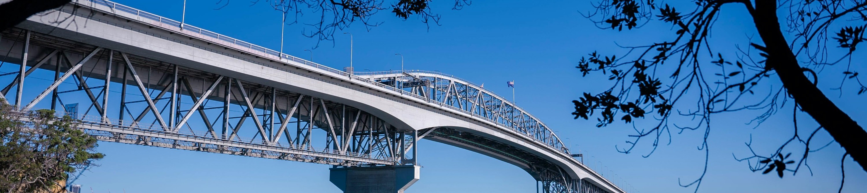 Auckland Half Day Attractions and Museums Tour