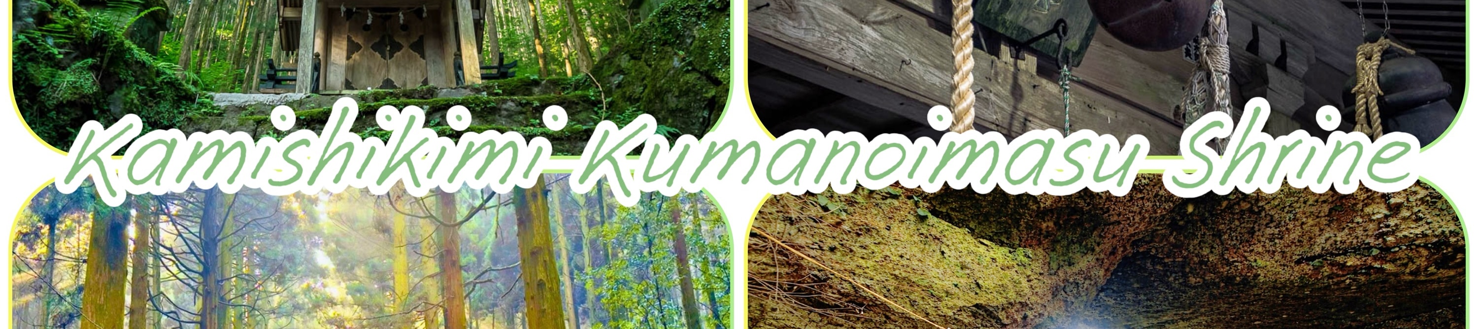 沿著參道拾級而上，陽光從樹葉縫隙間灑落，空氣中瀰漫著森林的氣息，整個過程彷彿走入神話世界。
神社主祭神與熊野信仰有深厚淵源，也因此被視為祈求心願、突破困境的能量場所。這裡同時也是多部動畫與影視作品的取景靈感地，無論是否熟悉日本文化，都能在此感受到強烈而獨特的氛圍。