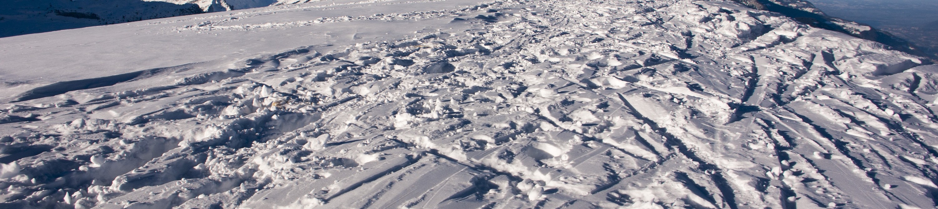 Mount Buller Group Snowboarding Tour