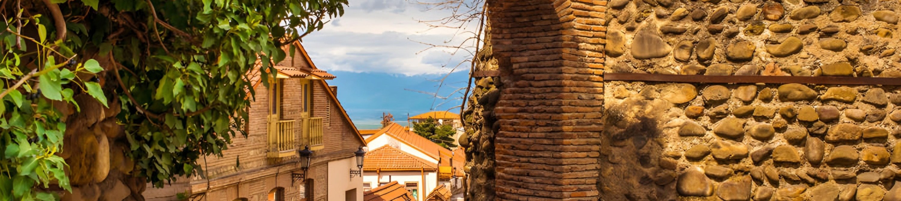 Tbilisi: Kakheti, Signaghi, & Chateau Tour with Wine Tasting