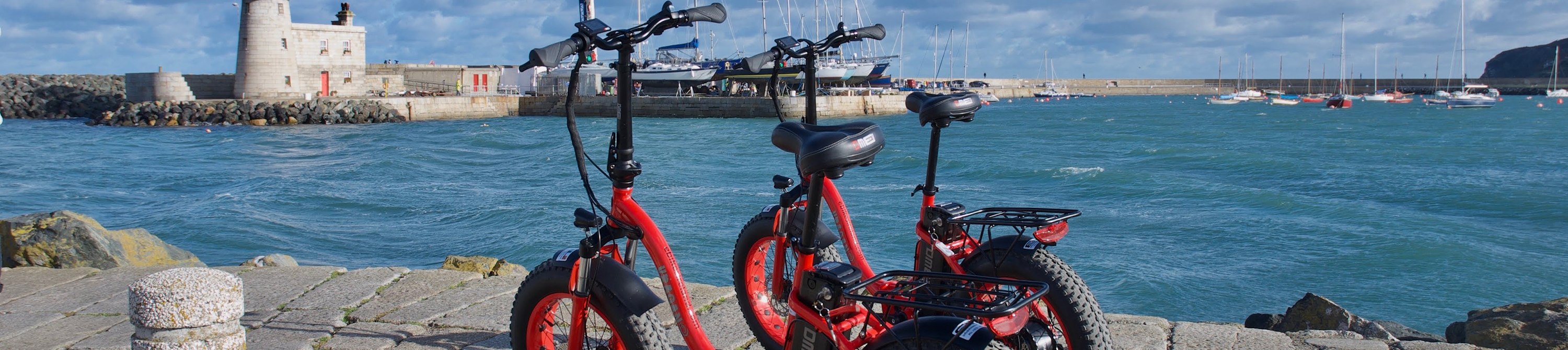 Panoramic E-Bike tour in Dublin